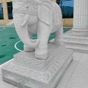 昆明 白麻花岗岩动物异形石雕-大象